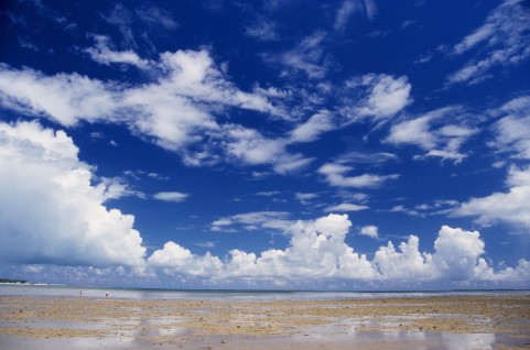 ポストカード 素材